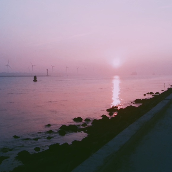 ✨New items sale ✨✨✨✨ - Picture 4 of 6